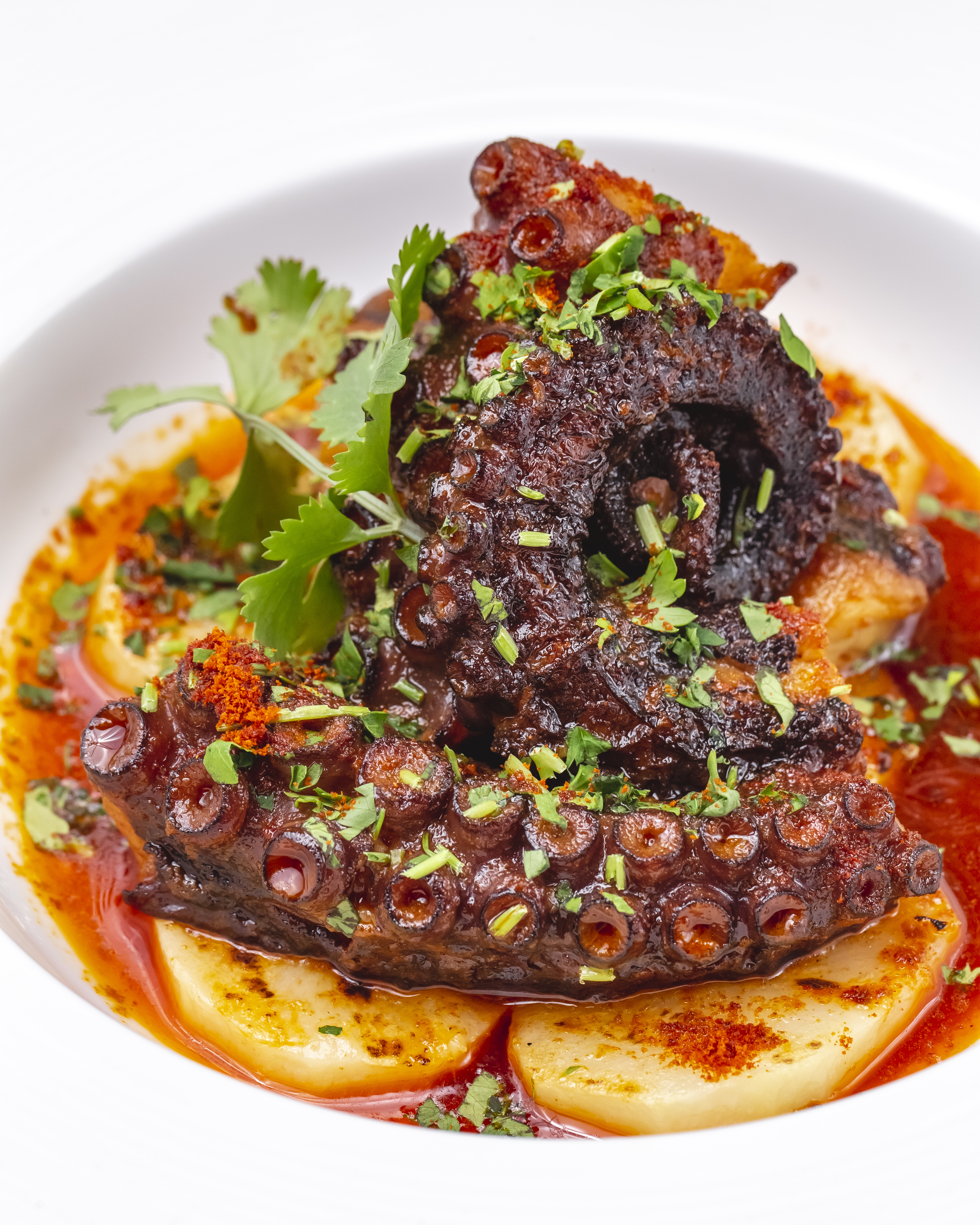Octopus+Ruti